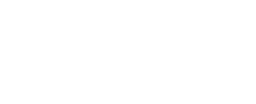 The Bright Hive